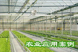 農(nóng)業(yè)應(yīng)用案例：水源熱泵機(jī)組助力恒溫大棚種植，更低運(yùn)行成本